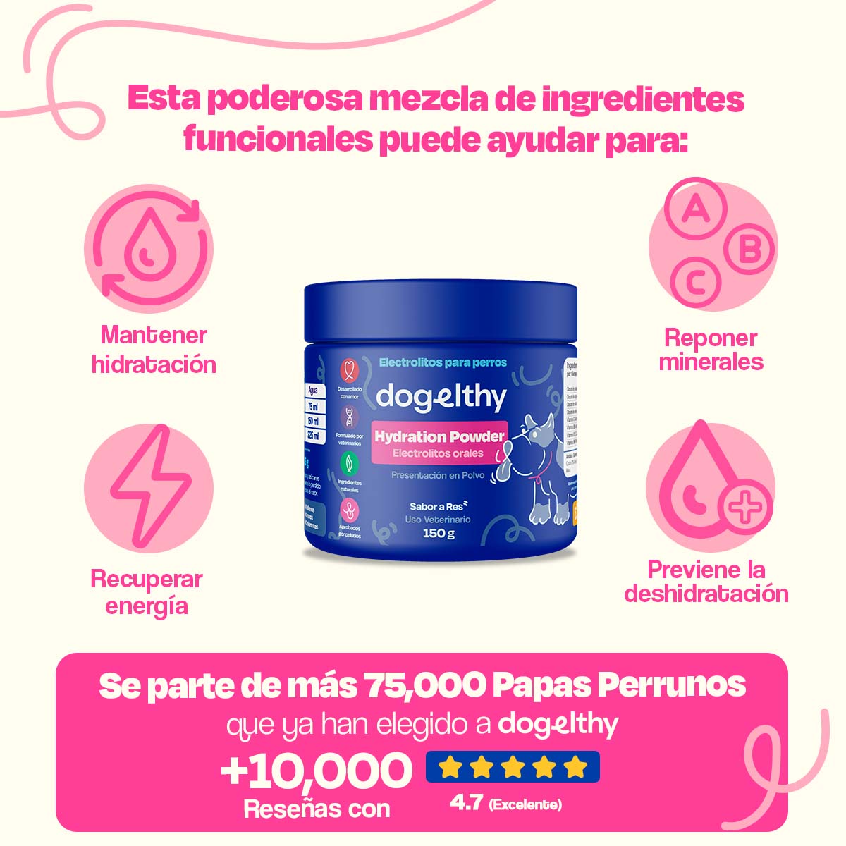 Electrolitos para Perros