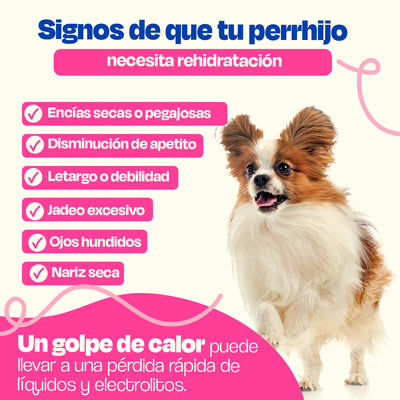 Electrolitos para Perros