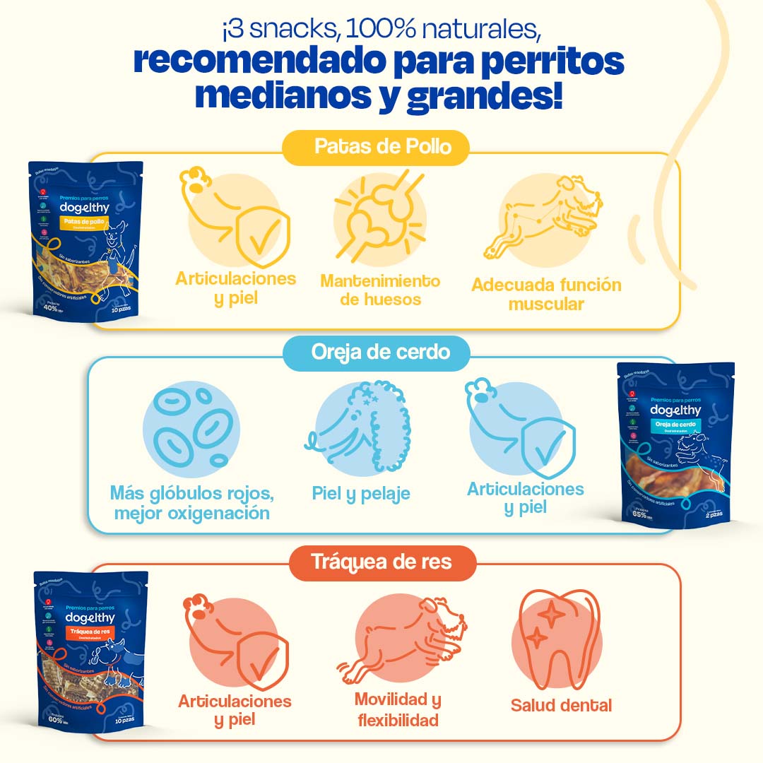 Kit de 3 Premios Deshidratados para Perros de Razas Grandes