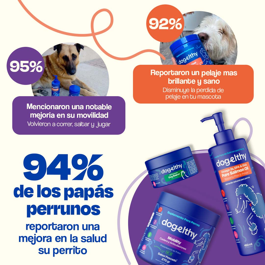 Kit para Articulaciones para Perros - Active Pup Kit