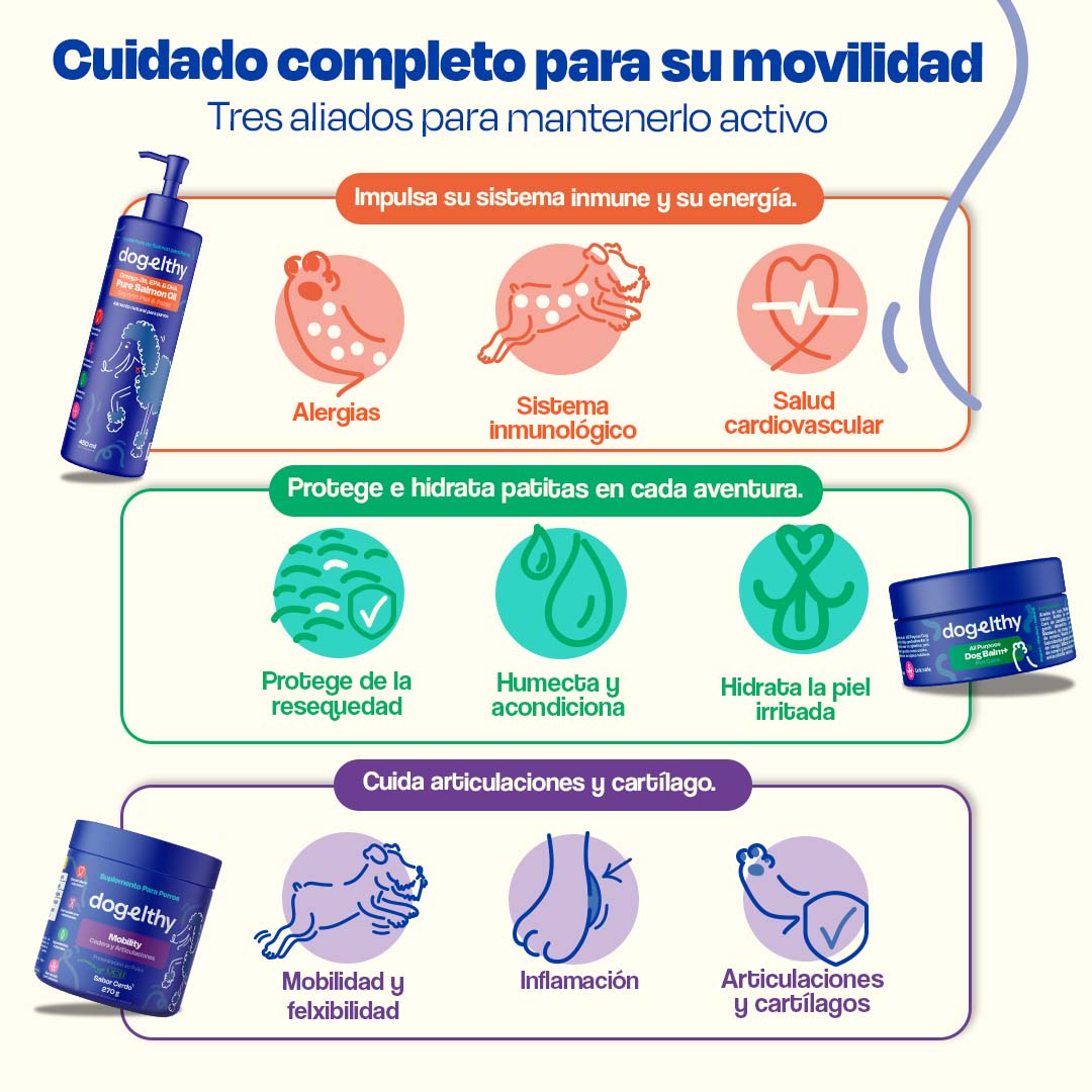 Kit para Articulaciones sabor Cerdo para Perros
