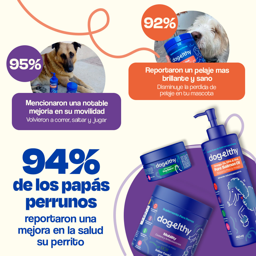 Kit para Articulaciones sabor Cerdo para Perros