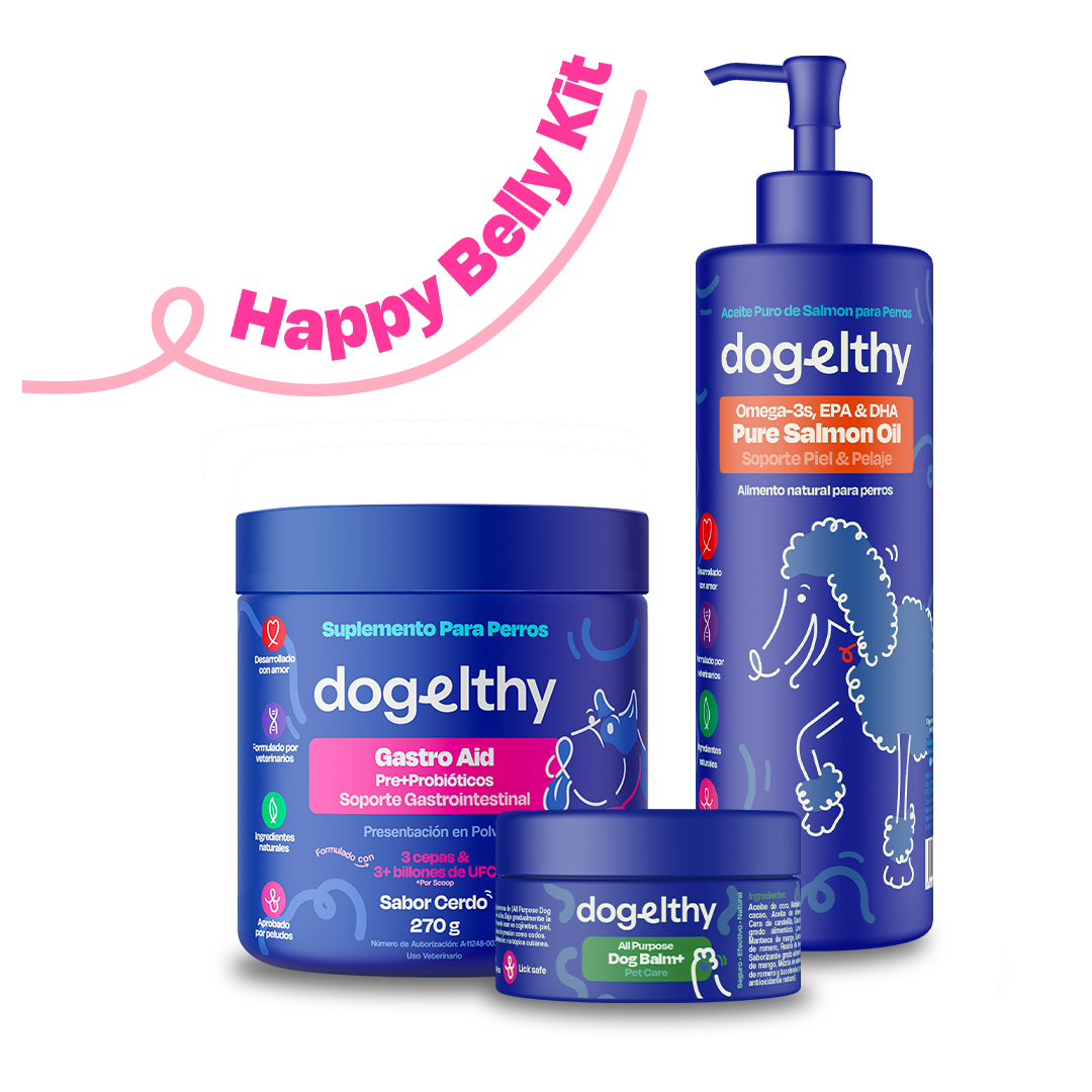 Kit Sistema Digestivo sabor Cerdo para Perros