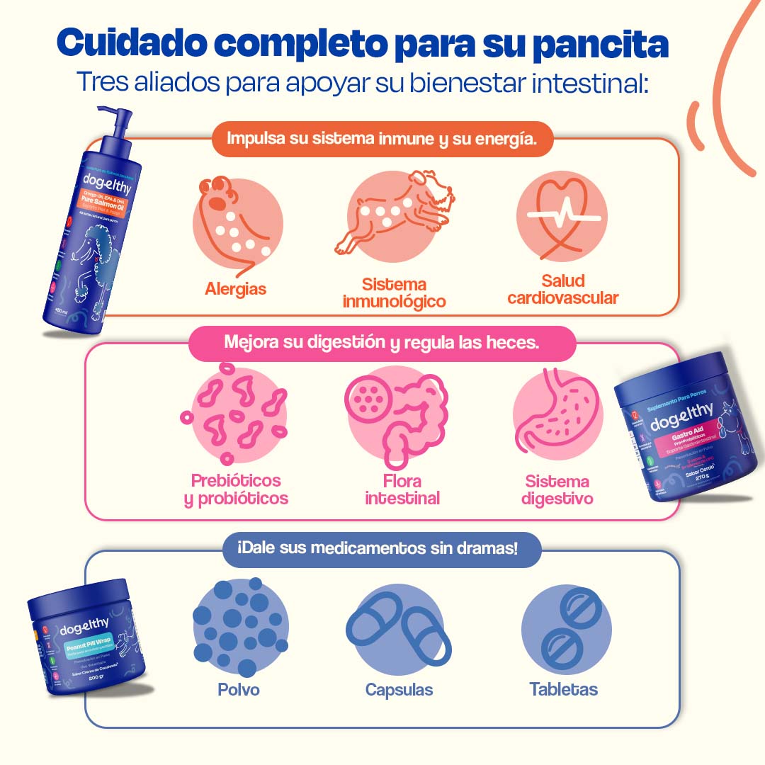 Kit Sistema Digestivo sabor Cerdo para Perros