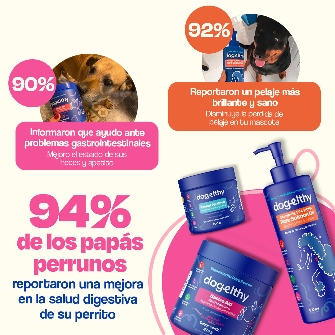 Kit Sistema Digestivo sabor Cerdo para Perros