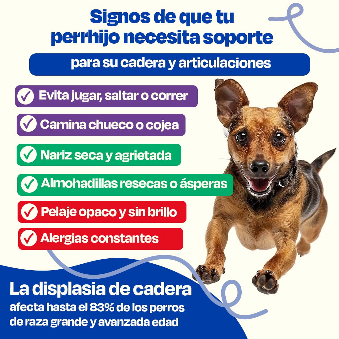 Kit para Articulaciones con Aceite de Sardina para Perros - Joint Support Kit