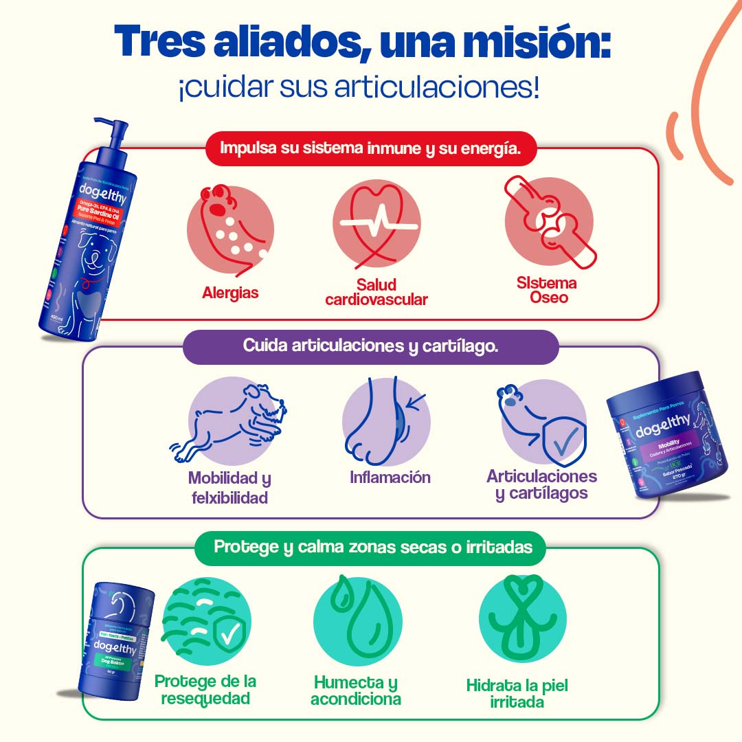 Kit para Articulaciones con Aceite de Sardina para Perros - Joint Support Kit