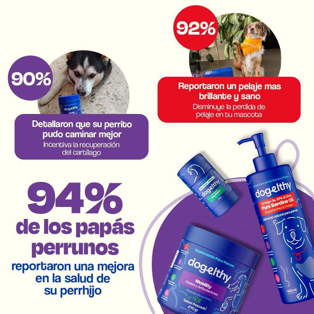 Kit para Articulaciones con Aceite de Sardina para Perros - Joint Support Kit