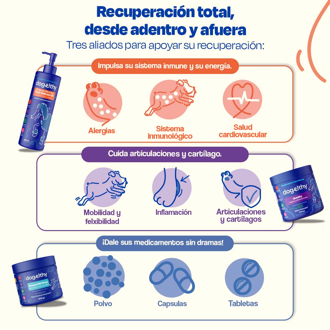 Kit de Recuperación para Perros