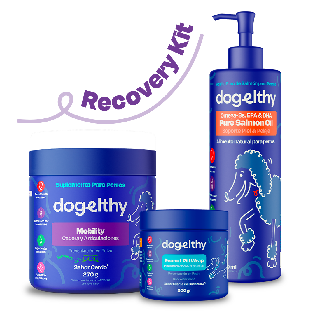 Kit de Recuperación Sabor Cerdo para Perros