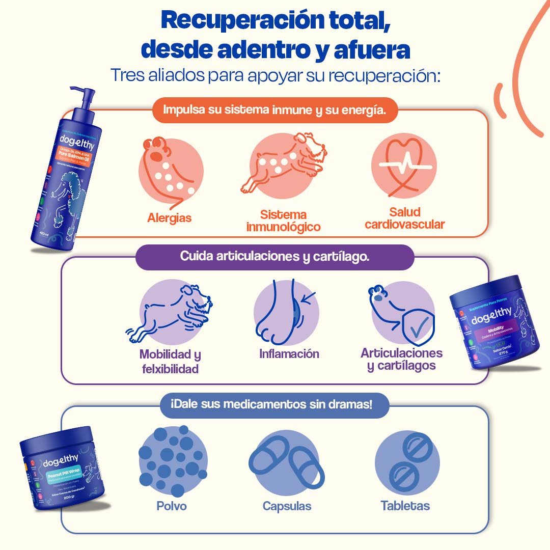 Kit de Recuperación Sabor Cerdo para Perros