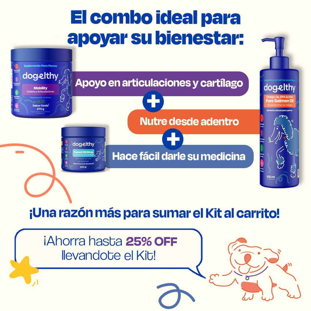 Kit de Recuperación Sabor Cerdo para Perros