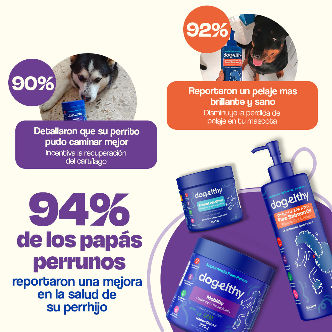 Kit de Recuperación Sabor Cerdo para Perros