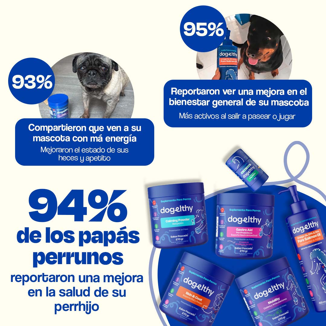 Kit del Perro Sano