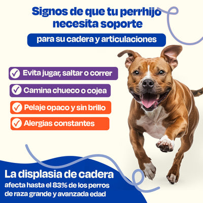(Sabor=Pescado)