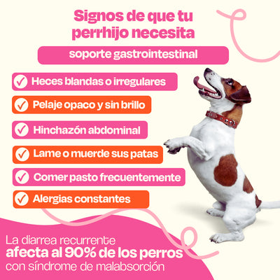 (Sabor=Pescado)