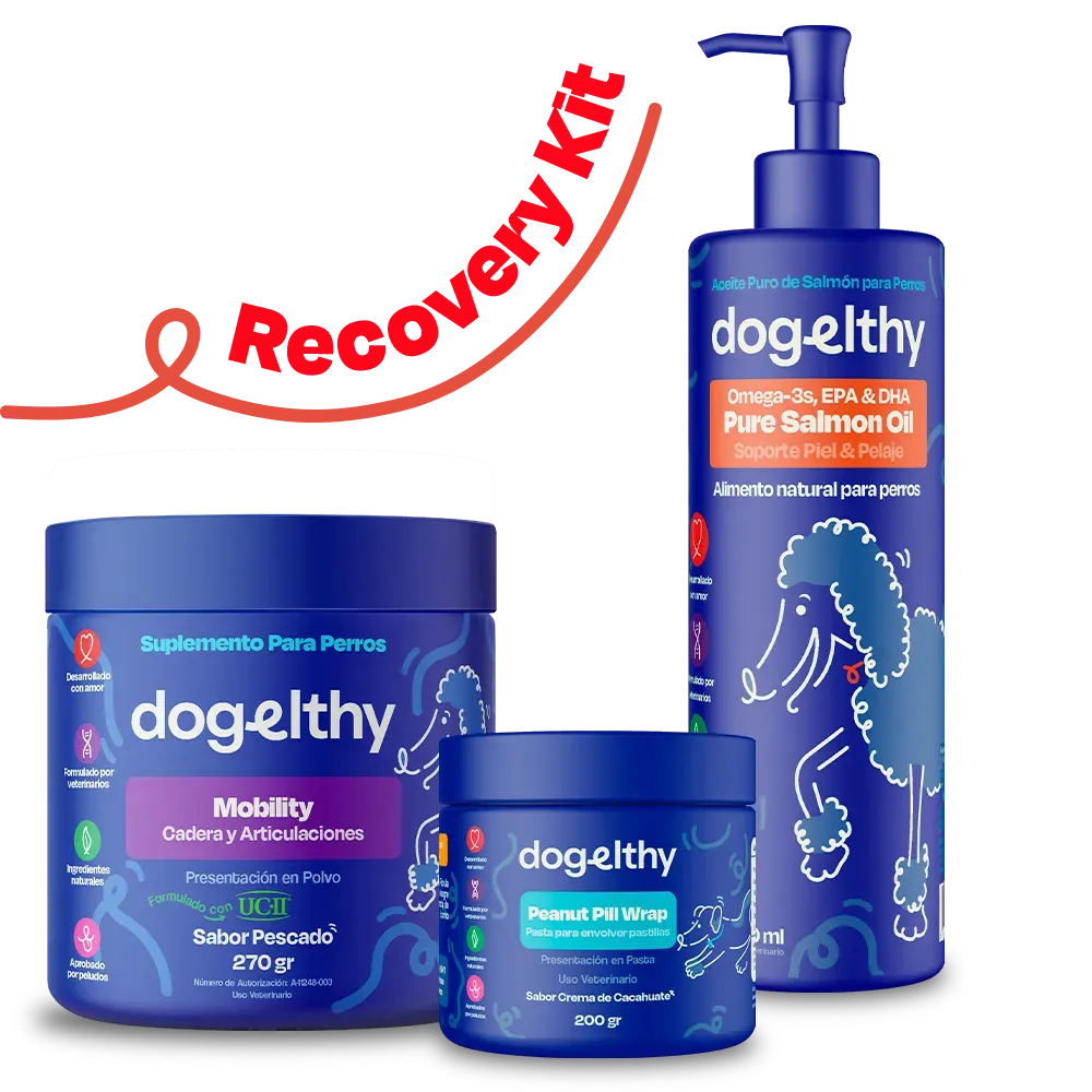 Kit de Recuperación para Perros