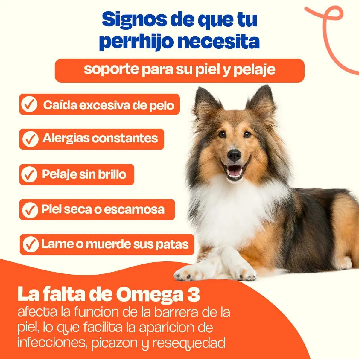 Aceite de Salmón para Perros