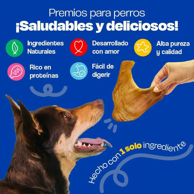 Orejas de Cerdo Deshidratadas - Dogelthy