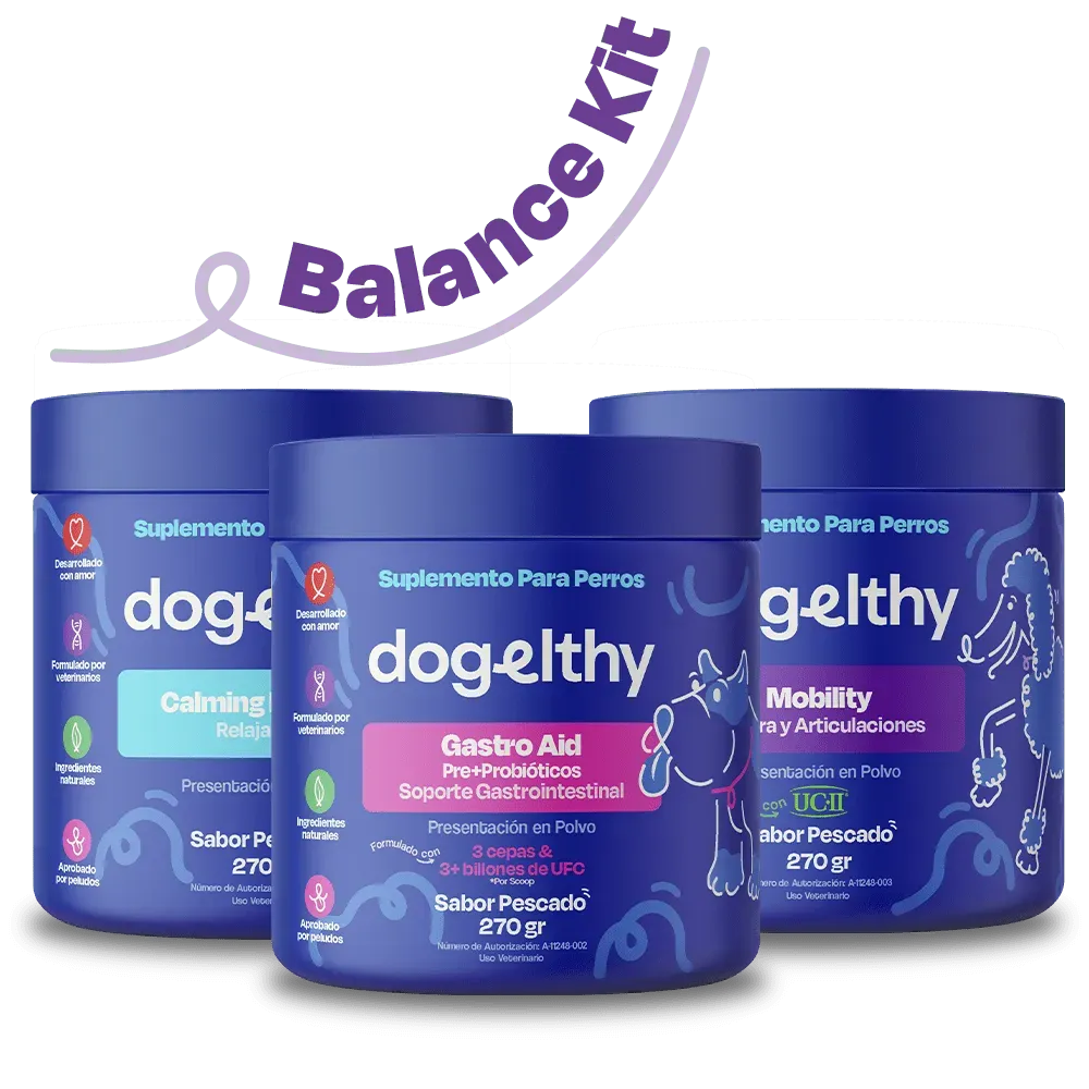 Kit Balance para Perro