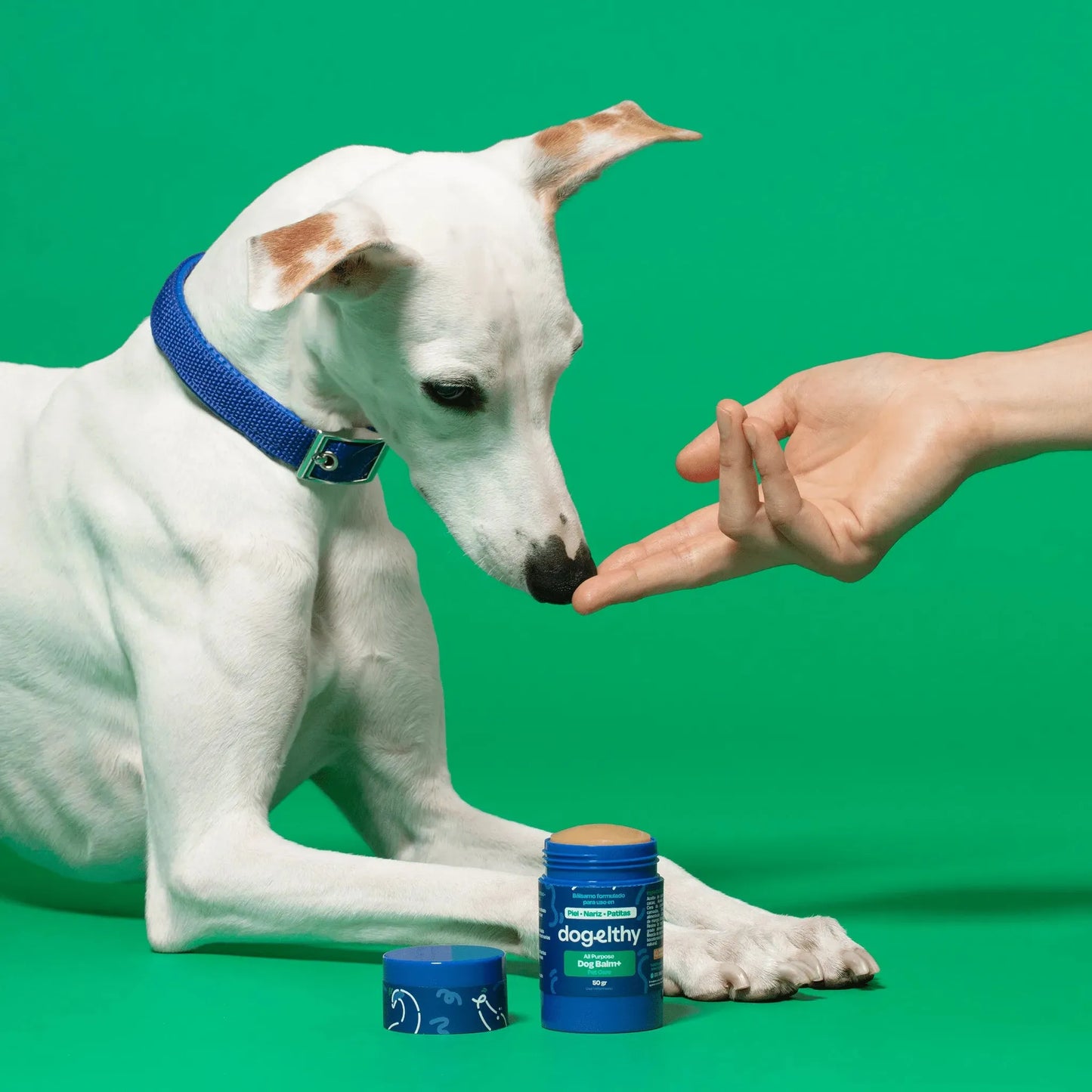 Bálsamo para Nariz de Perro