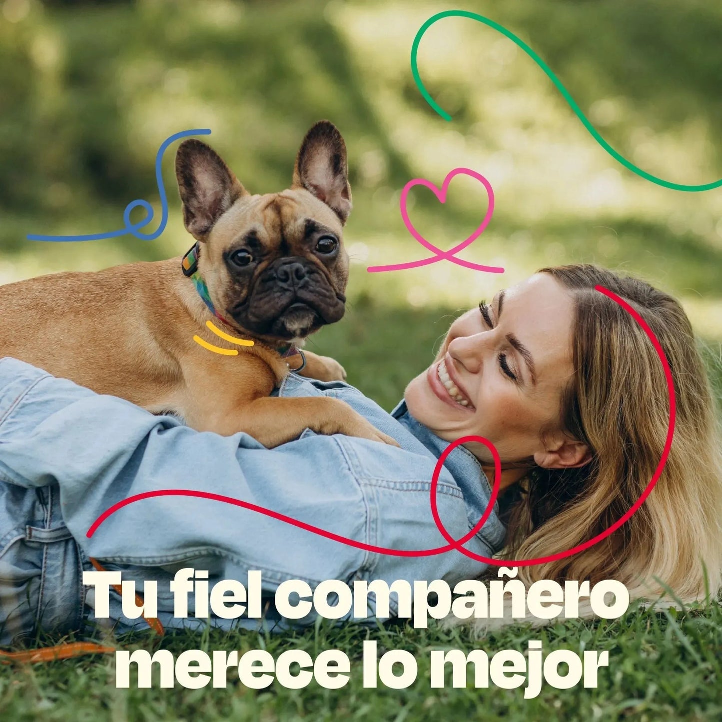 Kit Sistema Digestivo para Perros