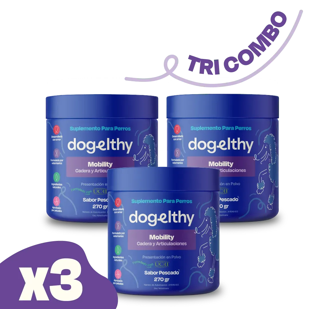 Mobility (Kit de 3 Piezas) - Dogelthy