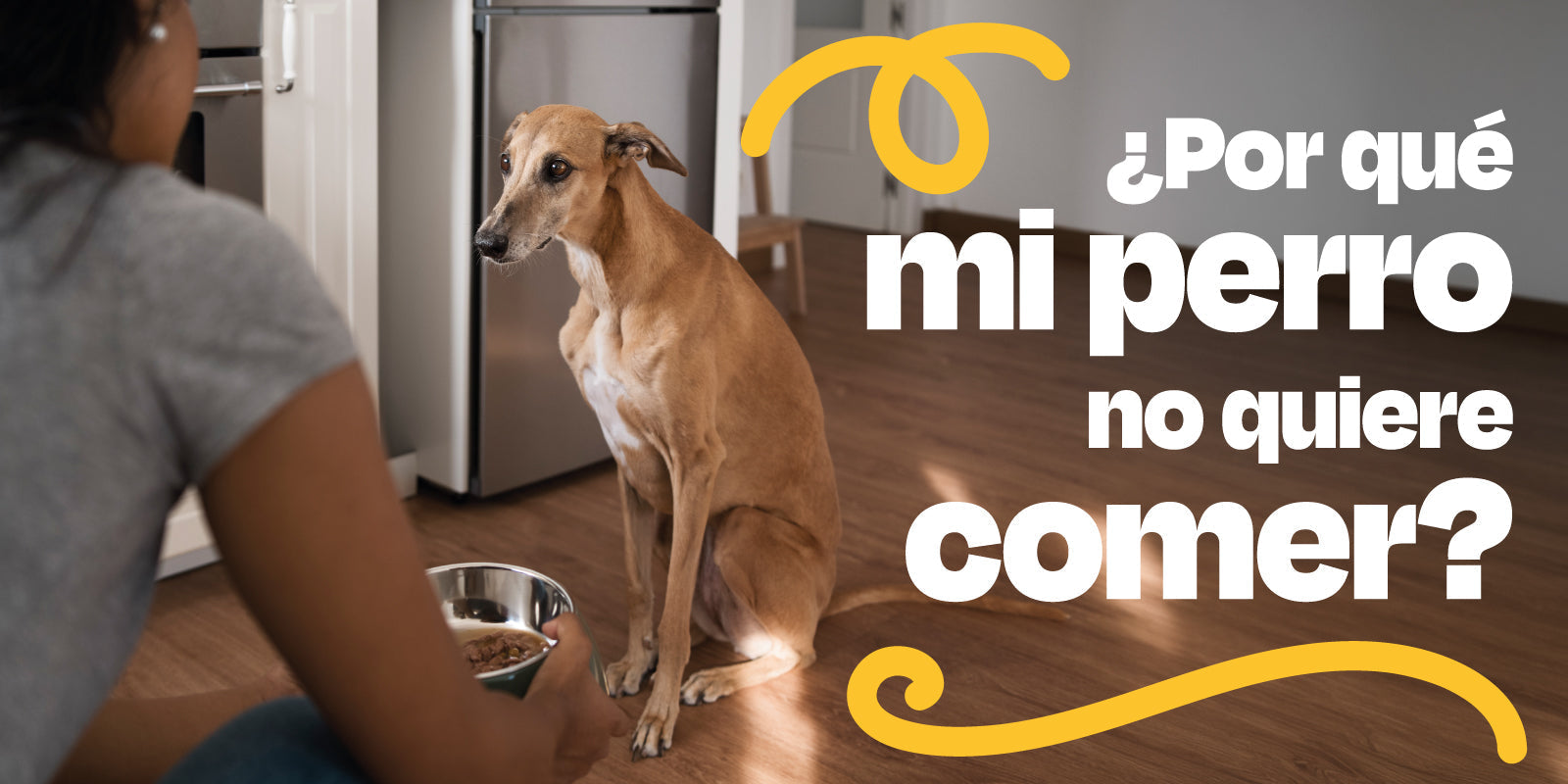¿Por qué mi perro no quiere comer?
