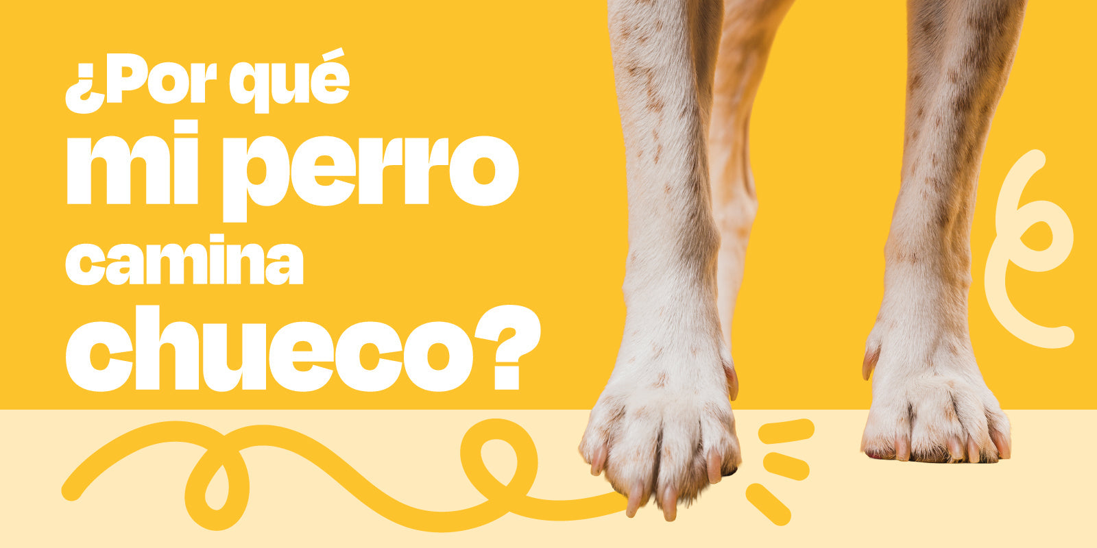 ¿Por qué mi perro camina chueco?