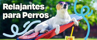 Relajantes para Perros