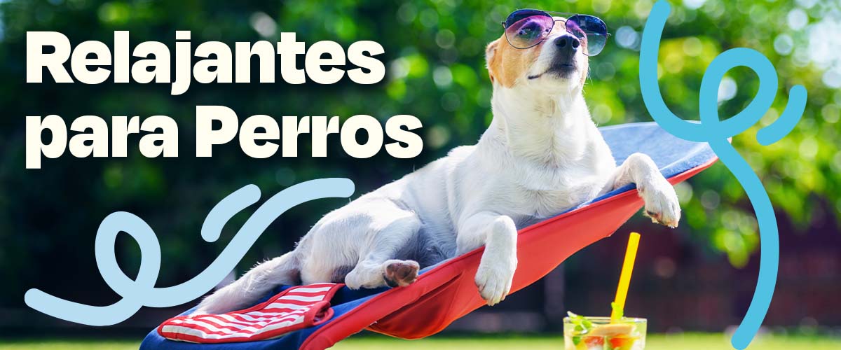 Relajantes para Perros