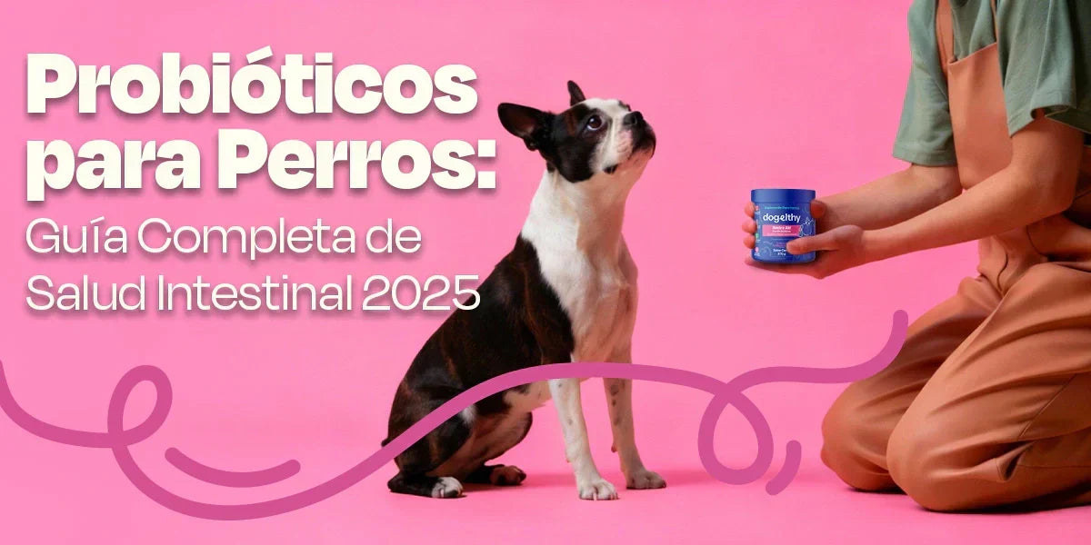 Qué son los probióticos para perros y para qué sirven