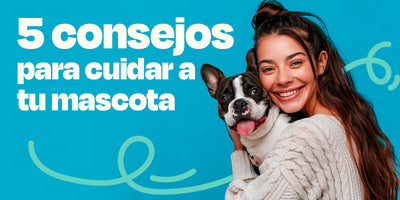 5 consejos para cuidar a tu mascota