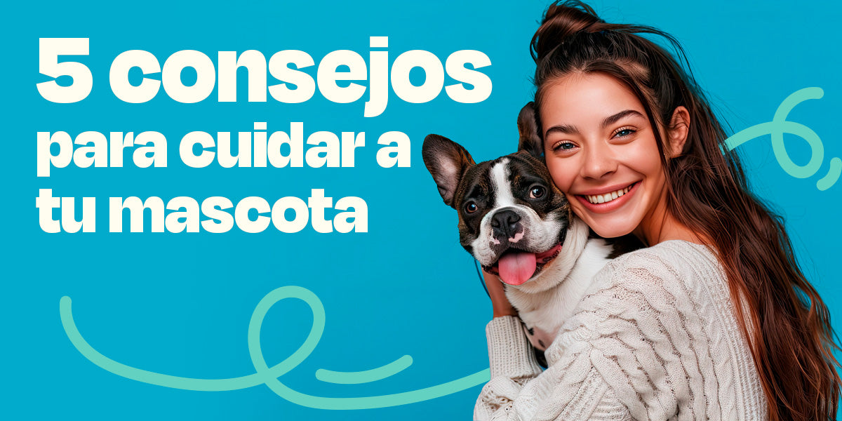 5 consejos para cuidar a tu mascota
