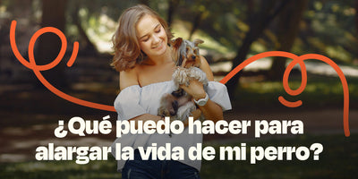 ¿Qué puedo hacer para alargar la vida de mi perro?