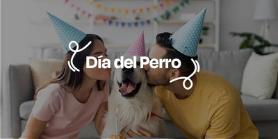 Dia del Perro - Dogelthy