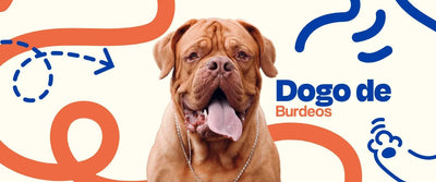 Dogo de Burdeos - Dogelthy