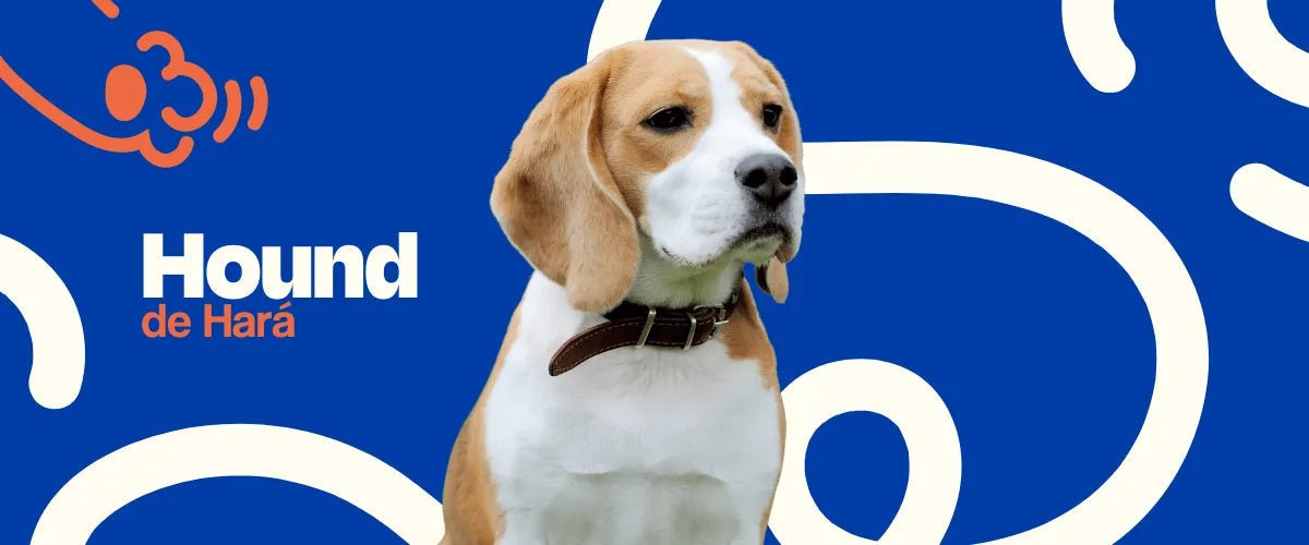 Hound de Hará - Dogelthy