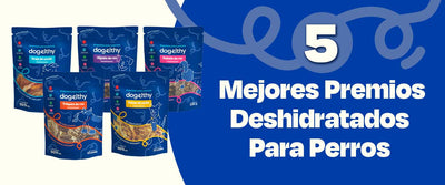 5 Mejores Premios Deshidratados Para Perros - Dogelthy