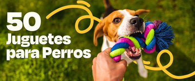 Juguetes para Perros
