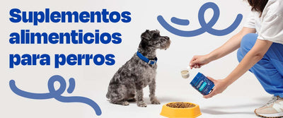 Suplementos Alimenticios para Perros 