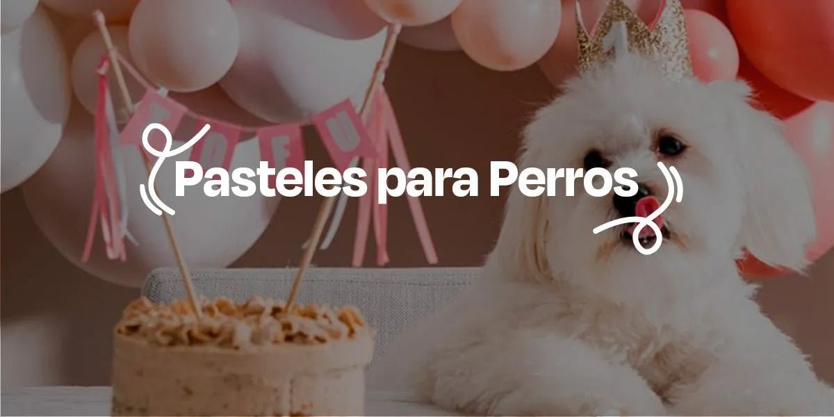 Pasteles Para Perros - Dogelthy