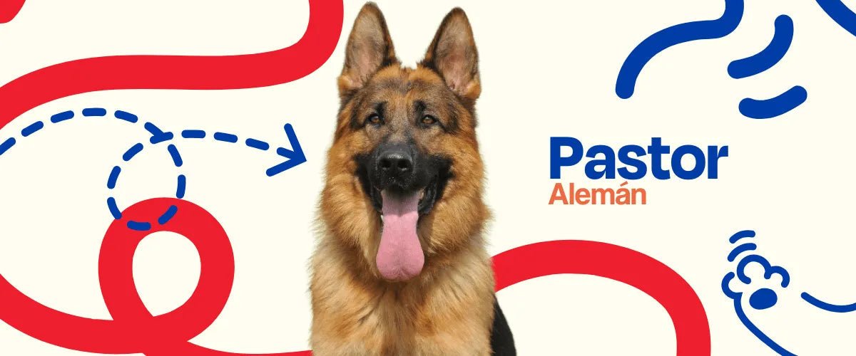 Pastor Alemán - Dogelthy