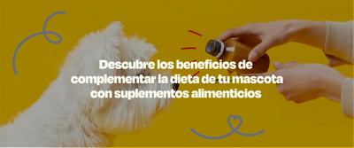 Suplementos para Perros. Una Alternativa para una Vida Saludable - Dogelthy