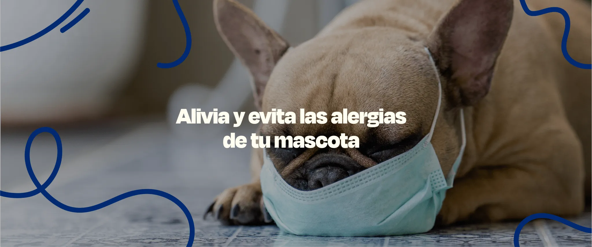 Suplemento para Alergias en Perros - Dogelthy