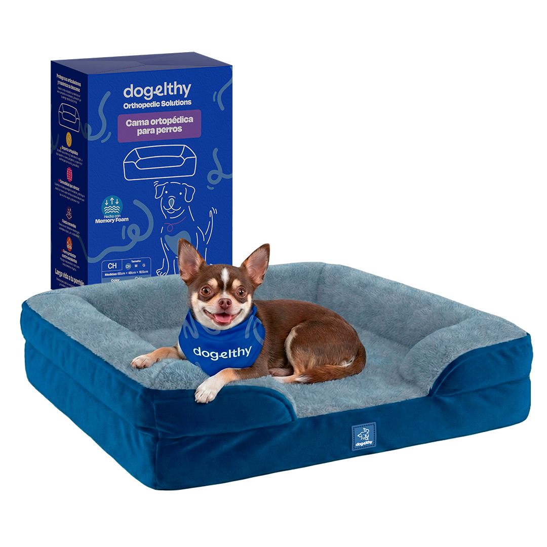 Tamaño=Chica Color=Azul