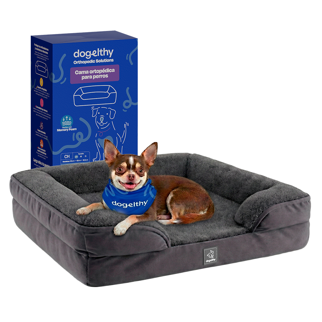 Tamaño=Chica Color=Gris