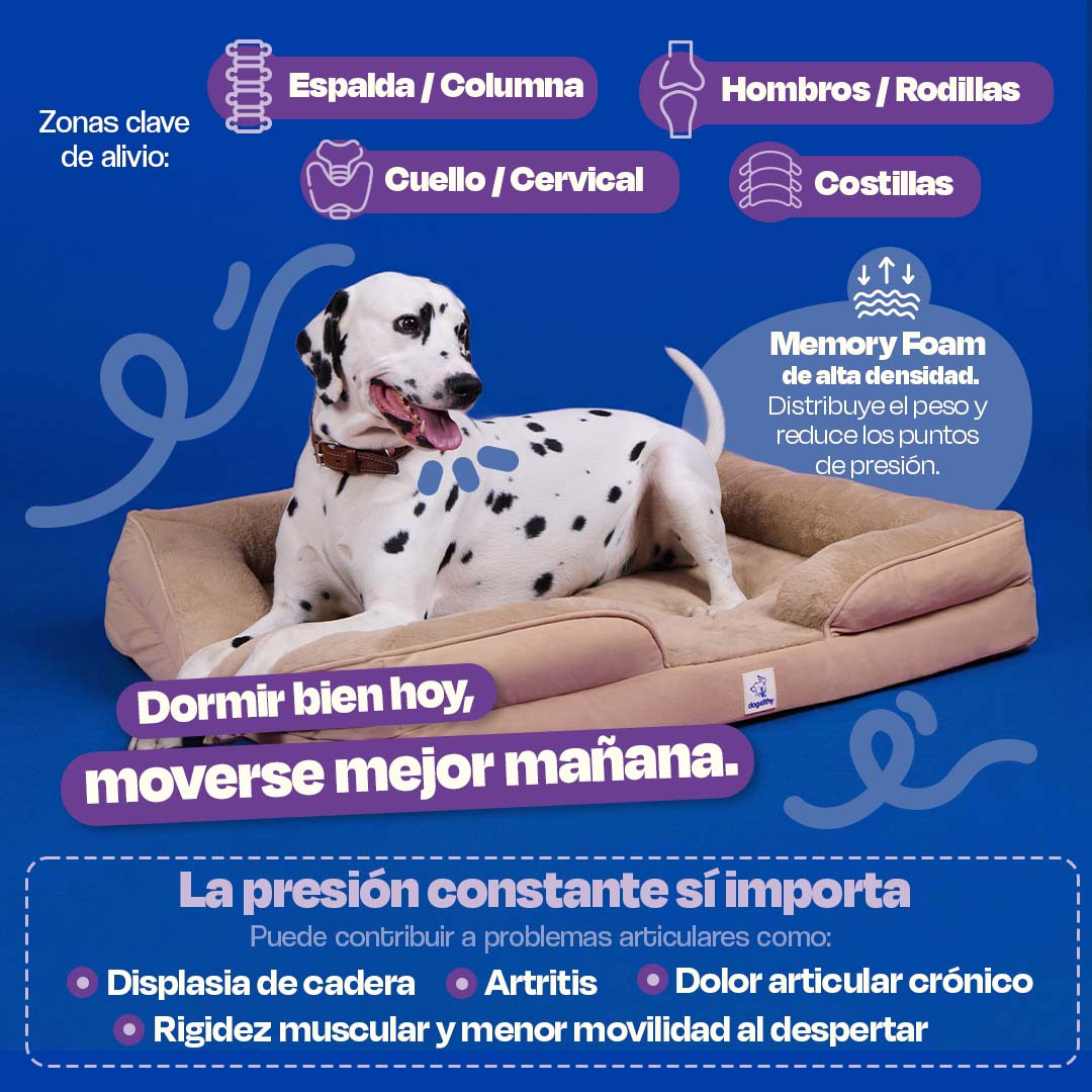 Cama Ortopédica para perros de Memory Foam para la Salud Articular