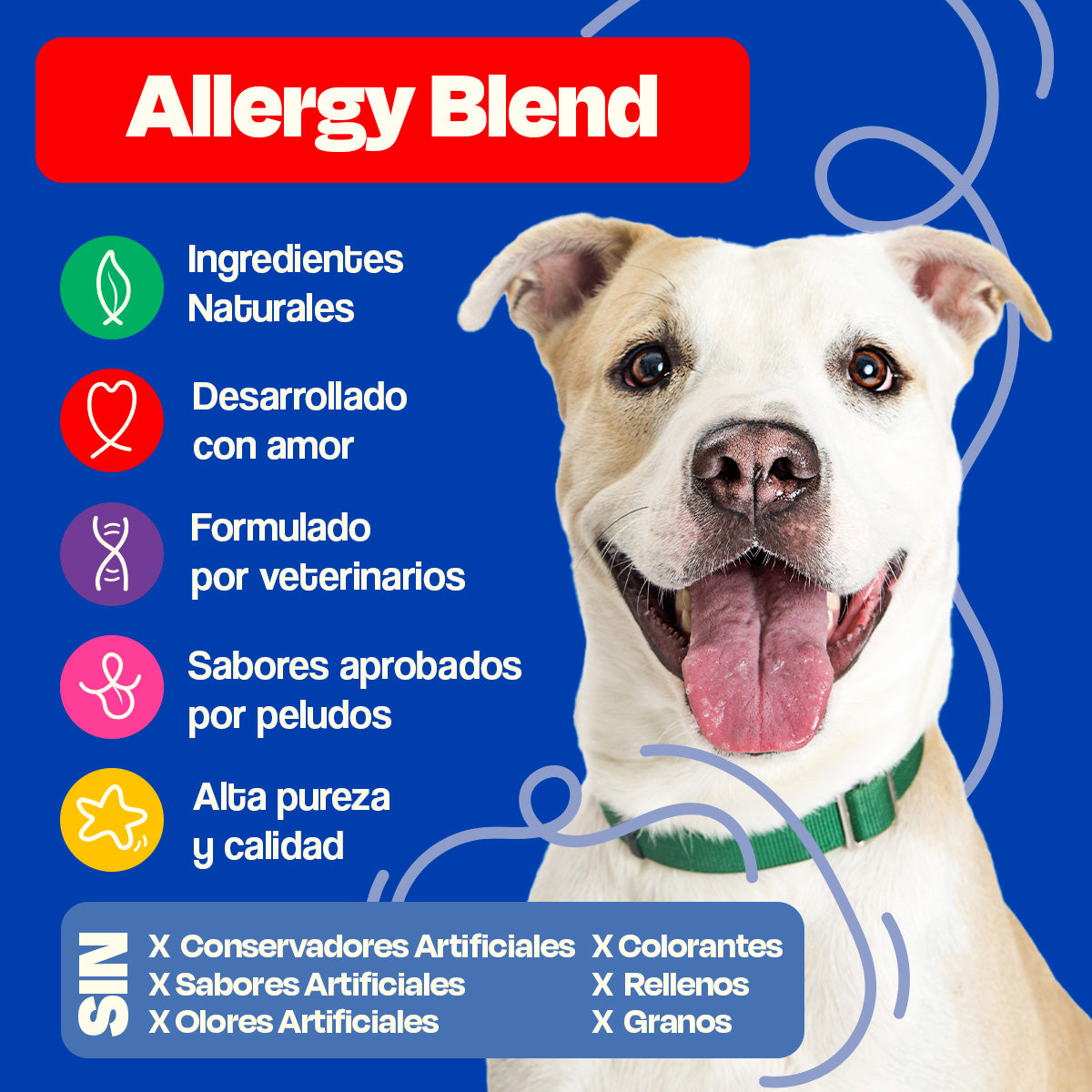 Suplemento para Alergias De Perro 