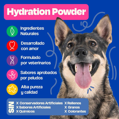 Electrolitos para Perros